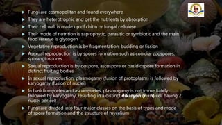  Fungi are cosmopolitan and found everywhere
 They are heterotrophic and get the nutrients by absorption
 Their cell wall is made up of chitin or fungal cellulose
 Their mode of nutrition is saprophytic, parasitic or symbiotic and the main
food reserve is glycogen
 Vegetative reproduction is by fragmentation, budding or fission
 Asexual reproduction is by spores formation such as conidia, zoospores,
sporangiospores
 Sexual reproduction is by oospore, ascospore or basidiospore formation in
distinct fruiting bodies
 In sexual reproduction, plasmogamy (fusion of protoplasm) is followed by
karyogamy (fusion of nuclei)
 In basidiomycetes and ascomycetes, plasmogamy is not immediately
followed by karyogamy, resulting in a distinct dikaryon (n+n) cell having 2
nuclei per cell
 Fungi are divided into four major classes on the basis of types and mode
of spore formation and the structure of mycelium
 