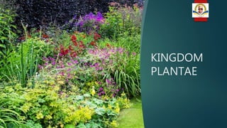 KINGDOM
PLANTAE
 