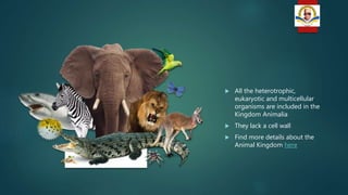  All the heterotrophic,
eukaryotic and multicellular
organisms are included in the
Kingdom Animalia
 They lack a cell wall
 Find more details about the
Animal Kingdom here
 
