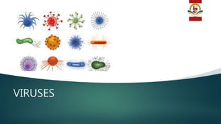 VIRUSES
 