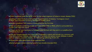 Dmitri Ivanowsky gave the name “virus” to the causal organism of tobacco mosaic disease (TMV)
Beijerinek called the fluid extracted from diseased plants of tobacco, “Contagium vivum
fluidum” and observed it as being infectious to healthy plants
Stanley crystallised TMV (tobacco mosaic virus) for the first time
They are acellular containing nucleic acid core (either DNA or RNA), which is surrounded by a
protein coat called the capsid
Viruses use the host machinery to multiply inside the host cell, they exist in a crystalline form
outside the host cell
They are obligate parasite and cause various diseases in plants and animals, e.g. common cold,
AIDS, polio, mumps, measles, chickenpox, etc. in animals and various mosaic diseases in plants
such as tobacco, cucumber, tomato, etc. leaf curling, yellowing of vein, etc.
Viruses that infect plants have single-stranded RNA
Bacteriophages, viruses infecting bacteria have double-stranded DNA
 