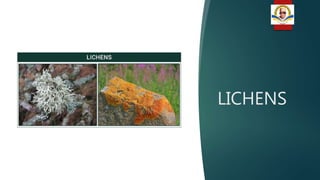 LICHENS
 