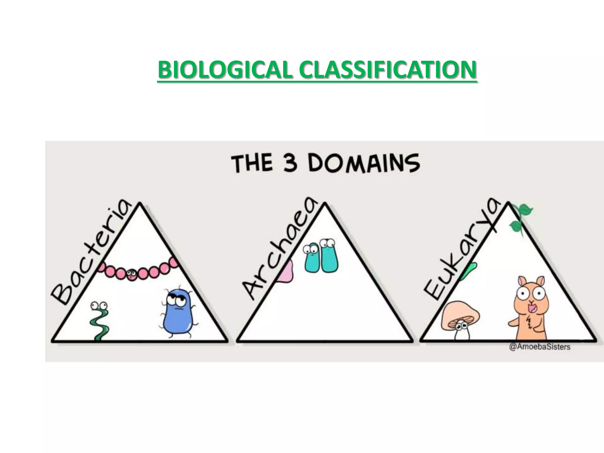 Biological classification and Monera and Protista kingdom | PPTX