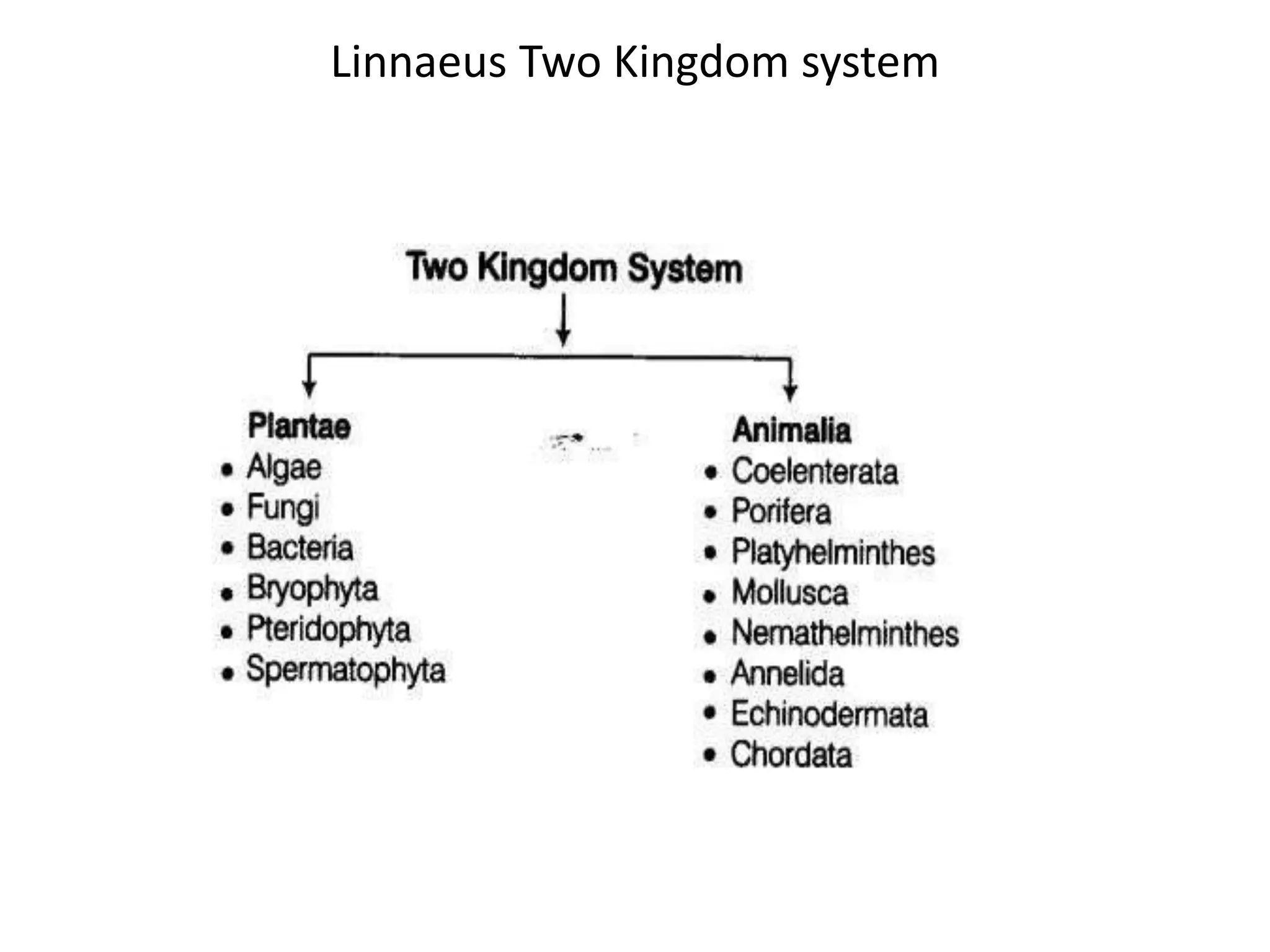 Biological classification and Monera and Protista kingdom | PPTX