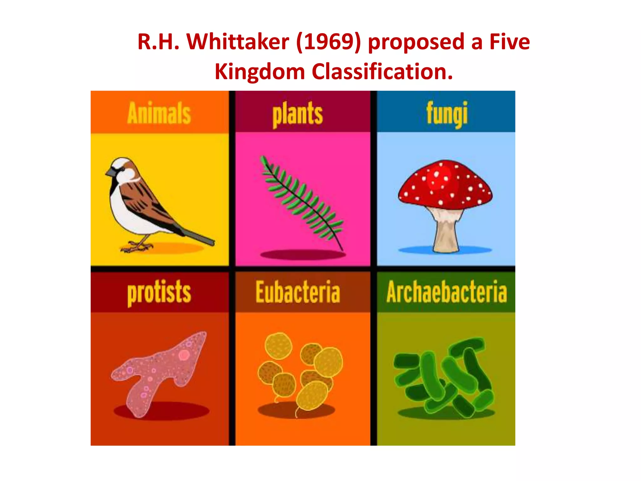 Biological classification and Monera and Protista kingdom | PPTX