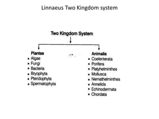 Biological classification and Monera and Protista kingdom | PPTX