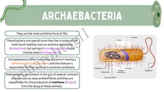 biologicalclassificationclass11th. . | PDF