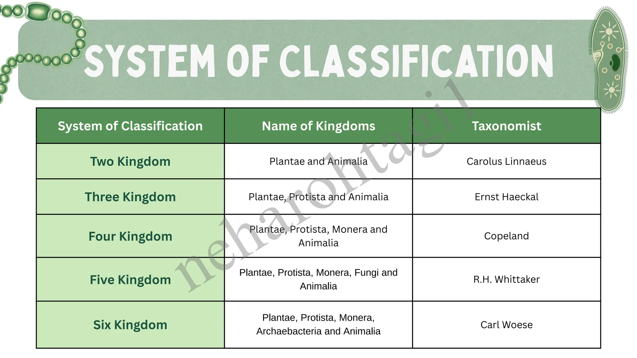 System of Classification
System of Classification Name of Kingdoms Taxonomist
Two Kingdom Plantae and Animalia Carolus Linnaeus
Three Kingdom Plantae, Protista and Animalia Ernst Haeckal
Four Kingdom
Plantae, Protista, Monera and
Animalia
Copeland
Five Kingdom
Plantae, Protista, Monera, Fungi and
Animalia
R.H. Whittaker
Six Kingdom
Plantae, Protista, Monera,
Archaebacteria and Animalia
Carl Woese
neharohtagi1
 