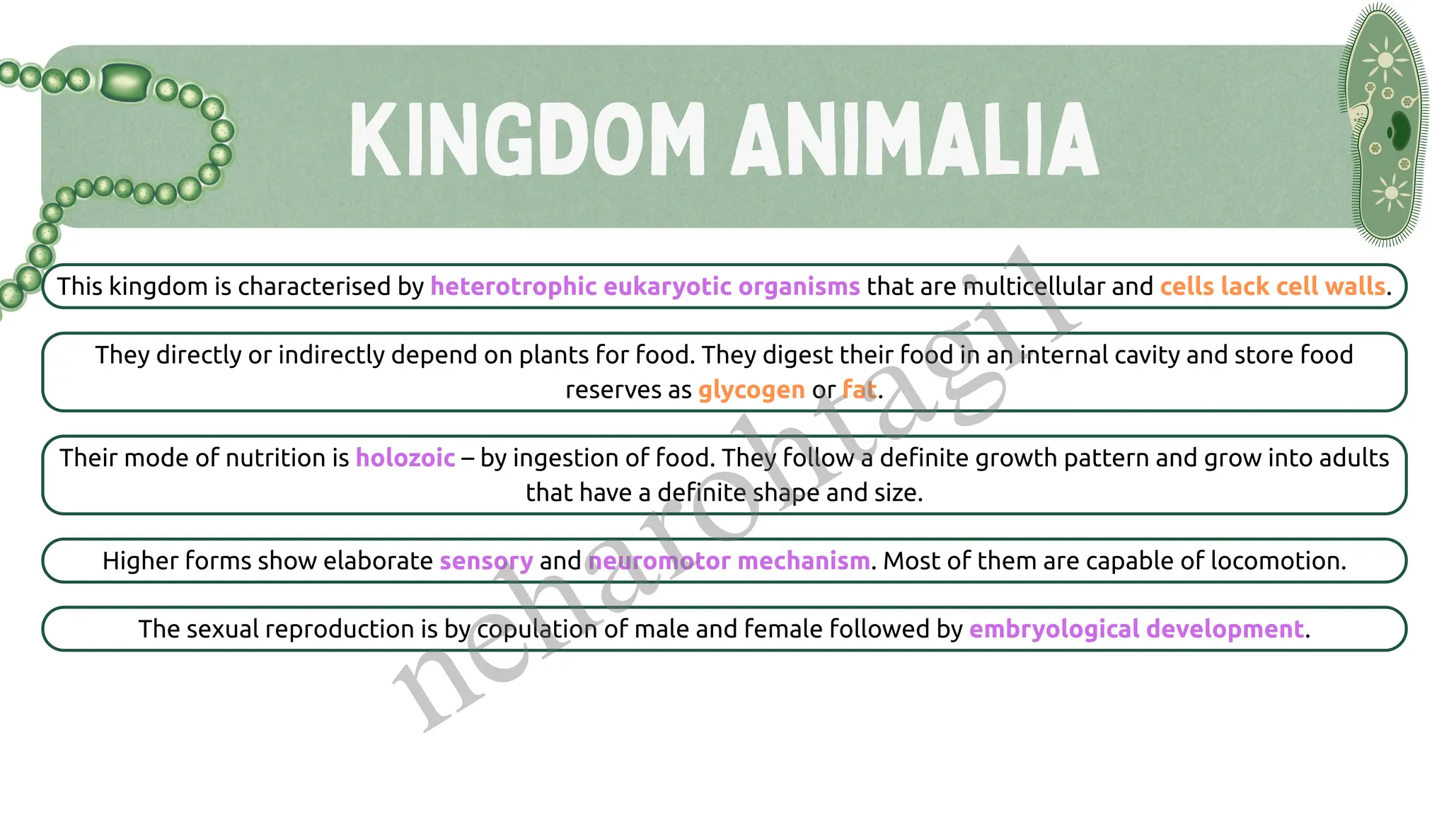 KINGDOM Animalia
This kingdom is characterised by heterotrophic eukaryotic organisms that are multicellular and cells lack cell walls.
They directly or indirectly depend on plants for food. They digest their food in an internal cavity and store food
reserves as glycogen or fat.
Their mode of nutrition is holozoic – by ingestion of food. They follow a definite growth pattern and grow into adults
that have a definite shape and size.
Higher forms show elaborate sensory and neuromotor mechanism. Most of them are capable of locomotion.
The sexual reproduction is by copulation of male and female followed by embryological development.
neharohtagi1
 