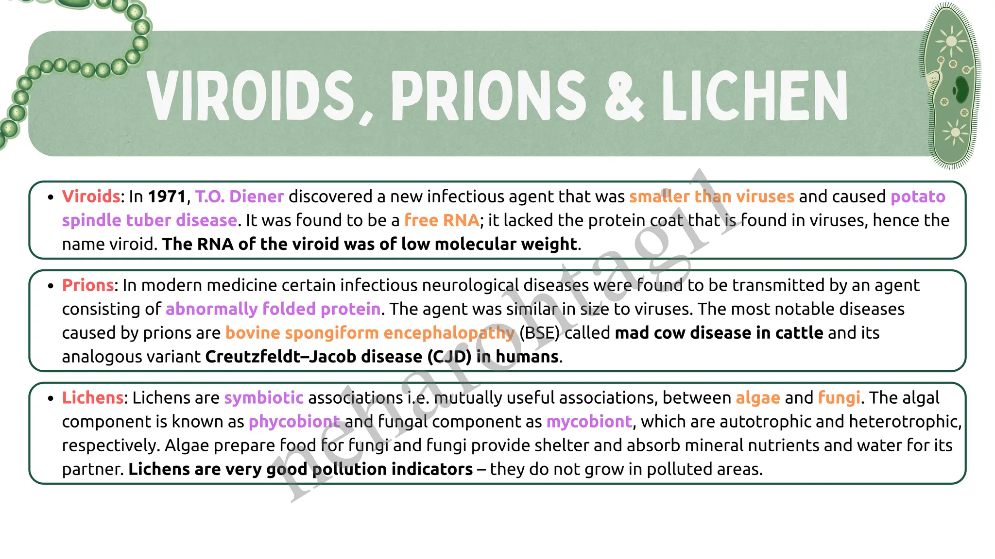 VIROIDS, PRIONS & LICHEN
Viroids: In 1971, T.O. Diener discovered a new infectious agent that was smaller than viruses and caused potato
spindle tuber disease. It was found to be a free RNA; it lacked the protein coat that is found in viruses, hence the
name viroid. The RNA of the viroid was of low molecular weight.
Prions: In modern medicine certain infectious neurological diseases were found to be transmitted by an agent
consisting of abnormally folded protein. The agent was similar in size to viruses. The most notable diseases
caused by prions are bovine spongiform encephalopathy (BSE) called mad cow disease in cattle and its
analogous variant Creutzfeldt–Jacob disease (CJD) in humans.
Lichens: Lichens are symbiotic associations i.e. mutually useful associations, between algae and fungi. The algal
component is known as phycobiont and fungal component as mycobiont, which are autotrophic and heterotrophic,
respectively. Algae prepare food for fungi and fungi provide shelter and absorb mineral nutrients and water for its
partner. Lichens are very good pollution indicators – they do not grow in polluted areas.
neharohtagi1
 