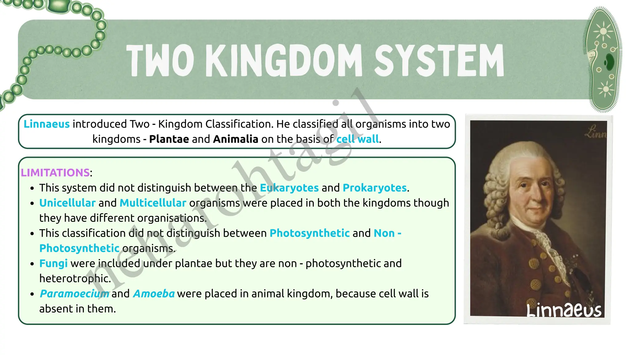 Two Kingdom System
Linnaeus introduced Two - Kingdom Classification. He classified all organisms into two
kingdoms - Plantae and Animalia on the basis of cell wall.
LIMITATIONS:
This system did not distinguish between the Eukaryotes and Prokaryotes.
Unicellular and Multicellular organisms were placed in both the kingdoms though
they have different organisations.
This classification did not distinguish between Photosynthetic and Non -
Photosynthetic organisms.
Fungi were included under plantae but they are non - photosynthetic and
heterotrophic.
Paramoecium and Amoeba were placed in animal kingdom, because cell wall is
absent in them. Linnaeus
neharohtagi1
 