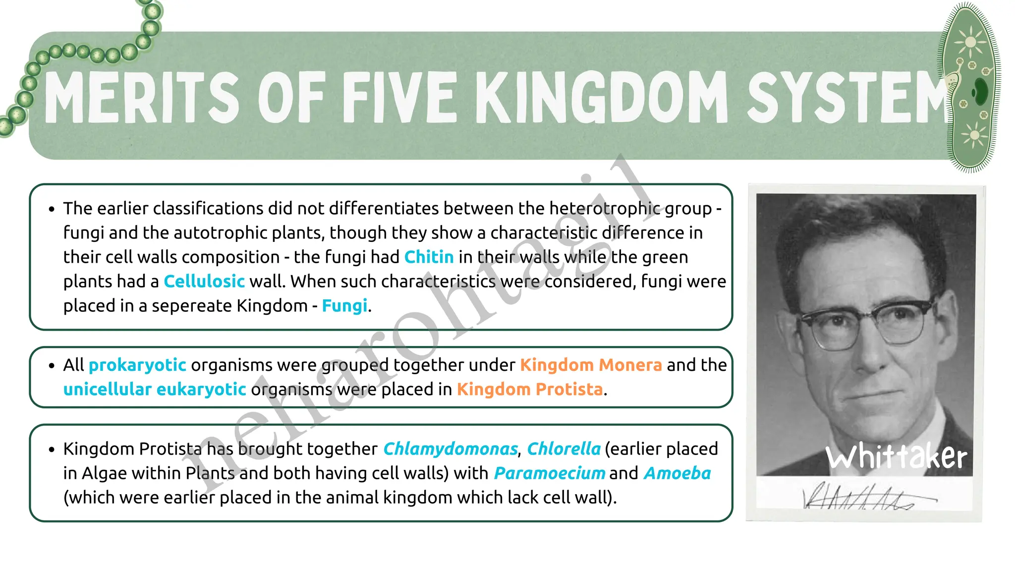 Merits Of Five Kingdom System
The earlier classifications did not differentiates between the heterotrophic group -
fungi and the autotrophic plants, though they show a characteristic difference in
their cell walls composition - the fungi had Chitin in their walls while the green
plants had a Cellulosic wall. When such characteristics were considered, fungi were
placed in a sepereate Kingdom - Fungi.
Whittaker
All prokaryotic organisms were grouped together under Kingdom Monera and the
unicellular eukaryotic organisms were placed in Kingdom Protista.
Kingdom Protista has brought together Chlamydomonas, Chlorella (earlier placed
in Algae within Plants and both having cell walls) with Paramoecium and Amoeba
(which were earlier placed in the animal kingdom which lack cell wall).
neharohtagi1
 