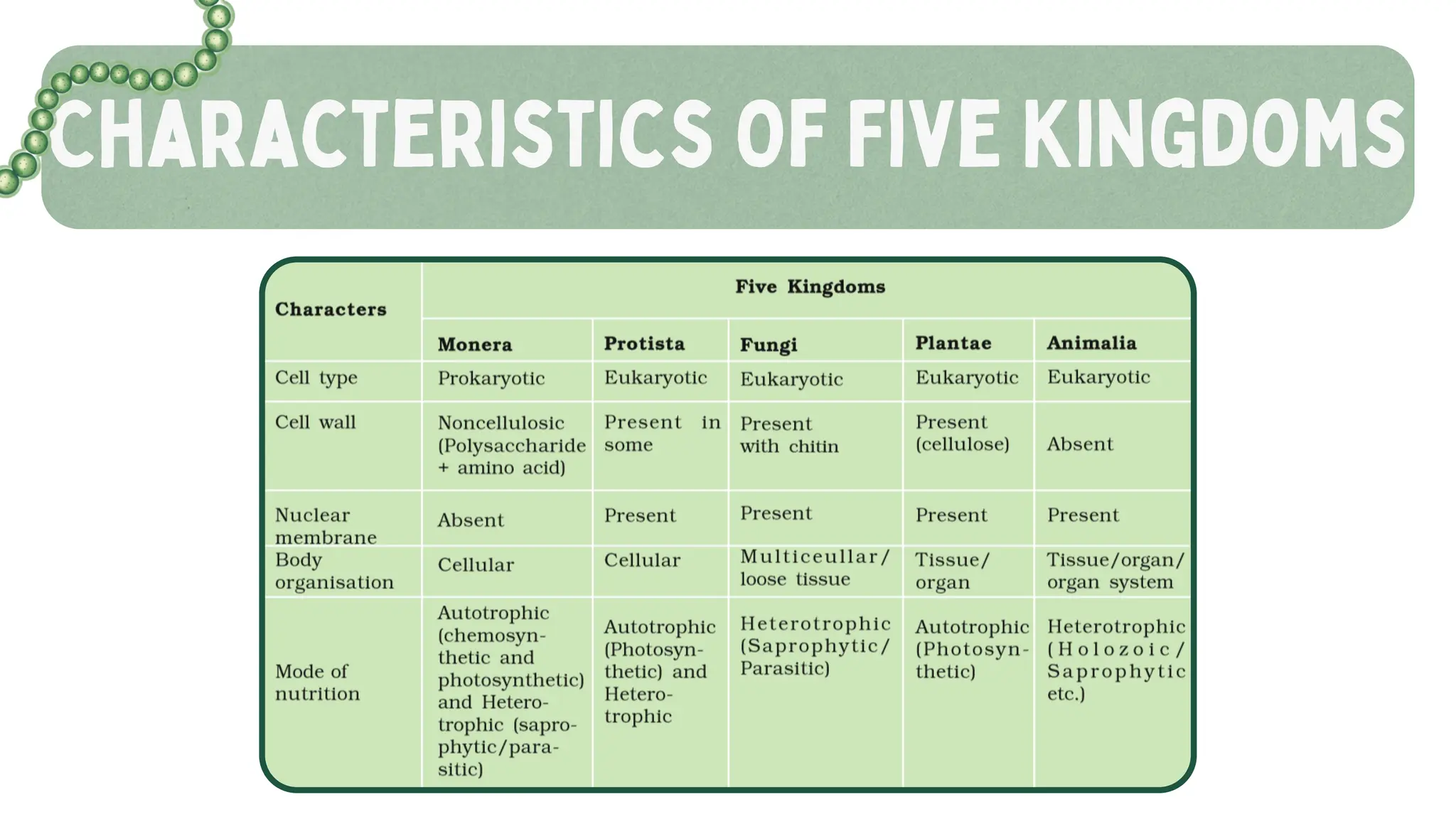 Characteristics Of Five Kingdoms
 