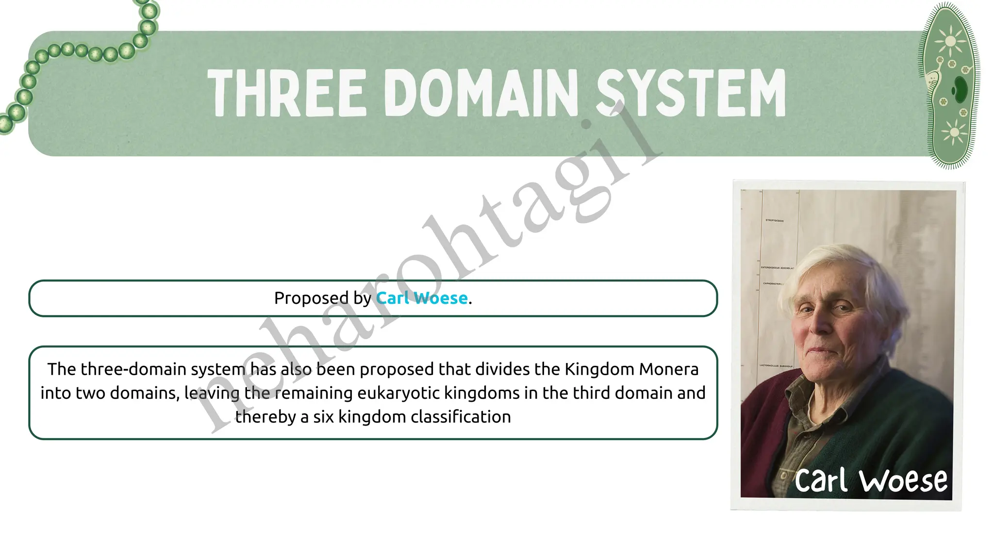 THREE DOMAIN SYSTEM
Proposed by Carl Woese.
The three-domain system has also been proposed that divides the Kingdom Monera
into two domains, leaving the remaining eukaryotic kingdoms in the third domain and
thereby a six kingdom classification
Carl Woese
neharohtagi1
 