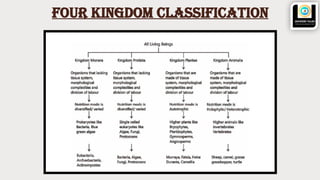 class 10 icse BIOLOGICAL CLASSIFICATION foundation.pptx