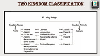 class 10 icse BIOLOGICAL CLASSIFICATION foundation.pptx
