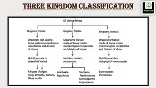class 10 icse BIOLOGICAL CLASSIFICATION foundation.pptx