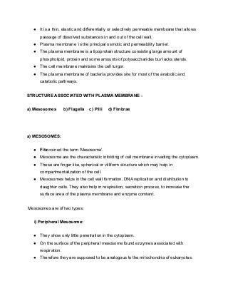 ● It is a thin, elastic and differentially or selectively permeable membrane that allows
passage of dissolved substances in and out of the cell wall.
● Plasma membrane is the principal osmotic and permeability barrier.
● The plasma membrane is a lipoprotein structure consisting large amount of
phospholipid, protein and some amounts of polysaccharides bur lacks sterols.
● The cell membrane maintains the cell turgor.
● The plasma membrane of bacteria provides site for most of the anabolic and
catabolic pathways.
STRUCTURE ASSOCIATED WITH PLASMA MEMBRANE :
a) Mesosomes b) Flagella c) Pilli d) Fimbrae
a) MESOSOMES:
● Fitz coined the term 'Mesosome'.
● Mesosome are the characteristic infolding of cell membrane invading the cytoplasm.
● These are finger like, spherical or villiform structure which may help in
compartmentalization of the cell.
● Mesosomes helps in the cell wall formation, DNA replication and distribution to
daughter cells. They also help in respiration, secretion process, to increase the
surface area of the plasma membrane and enzyme comtent.
Mesosomes are of two types:
i) Peripheral Mesosome:
● They show only little penetration in the cytoplasm.
● On the surface of the peripheral mesosome found enzymes associated with
respiration.
● Therefore they are supposed to be analogous to the mitochondria of eukaryotes.
 