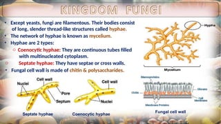 Septae Biological Classification Notes_CompressPdf_compressed (1).pptx