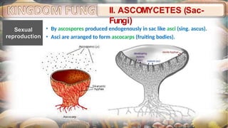 Biological Classification Notes_CompressPdf_compressed (1).pptx