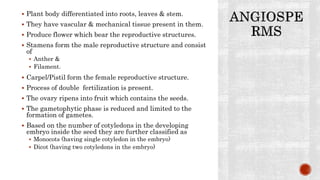  Plant body differentiated into roots, leaves & stem.
 They have vascular & mechanical tissue present in them.
 Produce flower which bear the reproductive structures.
 Stamens form the male reproductive structure and consist
of
 Anther &
 Filament.
 Carpel/Pistil form the female reproductive structure.
 Process of double fertilization is present.
 The ovary ripens into fruit which contains the seeds.
 The gametophytic phase is reduced and limited to the
formation of gametes.
 Based on the number of cotyledons in the developing
embryo inside the seed they are further classified as
 Monocots (having single cotyledon in the embryo)
 Dicot (having two cotyledons in the embryo)
 