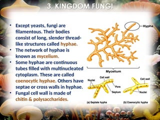 Septae Comprehensive Overview of Biological Classification Systems and Kingdom ...