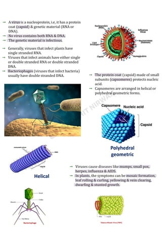 A virus is a nucleoprotein, i.e, it has a protein
coat (capsid) & genetic material (RNA or
DNA).
No virus contains both RNA & DNA.
The genetic material is infectious.
Generally, viruses that infect plants have
single stranded RNA.
Viruses that infect animals have either single
or double stranded RNA or double stranded
DNA.
Bacteriophages (viruses that infect bacteria)
usually have double stranded DNA. The protein coat (capsid) made of small
subunits (capsomeres) protects nucleic
acid.
Capsomeres are arranged in helical or
polyhedral geometric forms.
Helical
Polyhedral
geometric
Viruses cause diseases like mumps, small pox,
herpes, influenza & AIDS.
In plants, the symptoms can be mosaic formation,
leaf rolling & curling, yellowing & vein clearing,
dwarfing & stunted growth.
 