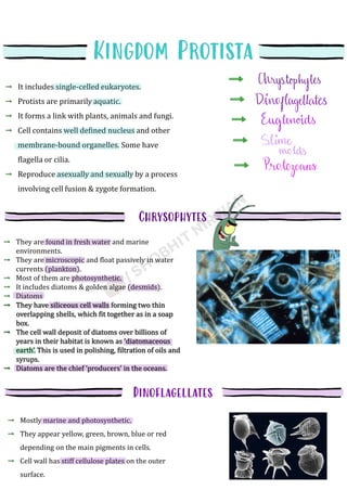 It includes single-celled eukaryotes.
Protists are primarily aquatic.
It forms a link with plants, animals and fungi.
Cell contains well defined nucleus and other
membrane-bound organelles. Some have
flagella or cilia.
Reproduce asexually and sexually by a process
involving cell fusion & zygote formation.
They are found in fresh water and marine
environments.
They are microscopic and float passively in water
currents (plankton).
Most of them are photosynthetic.
It includes diatoms & golden algae (desmids).
Diatoms
They have siliceous cell walls forming two thin
overlapping shells, which fit together as in a soap
box.
The cell wall deposit of diatoms over billions of
years in their habitat is known as ‘diatomaceous
earth’. This is used in polishing, filtration of oils and
syrups.
Diatoms are the chief ‘producers’ in the oceans.
Mostly marine and photosynthetic.
They appear yellow, green, brown, blue or red
depending on the main pigments in cells.
Cell wall has stiff cellulose plates on the outer
surface.
 