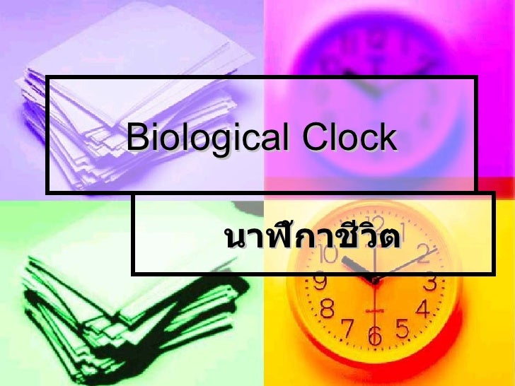biological clock