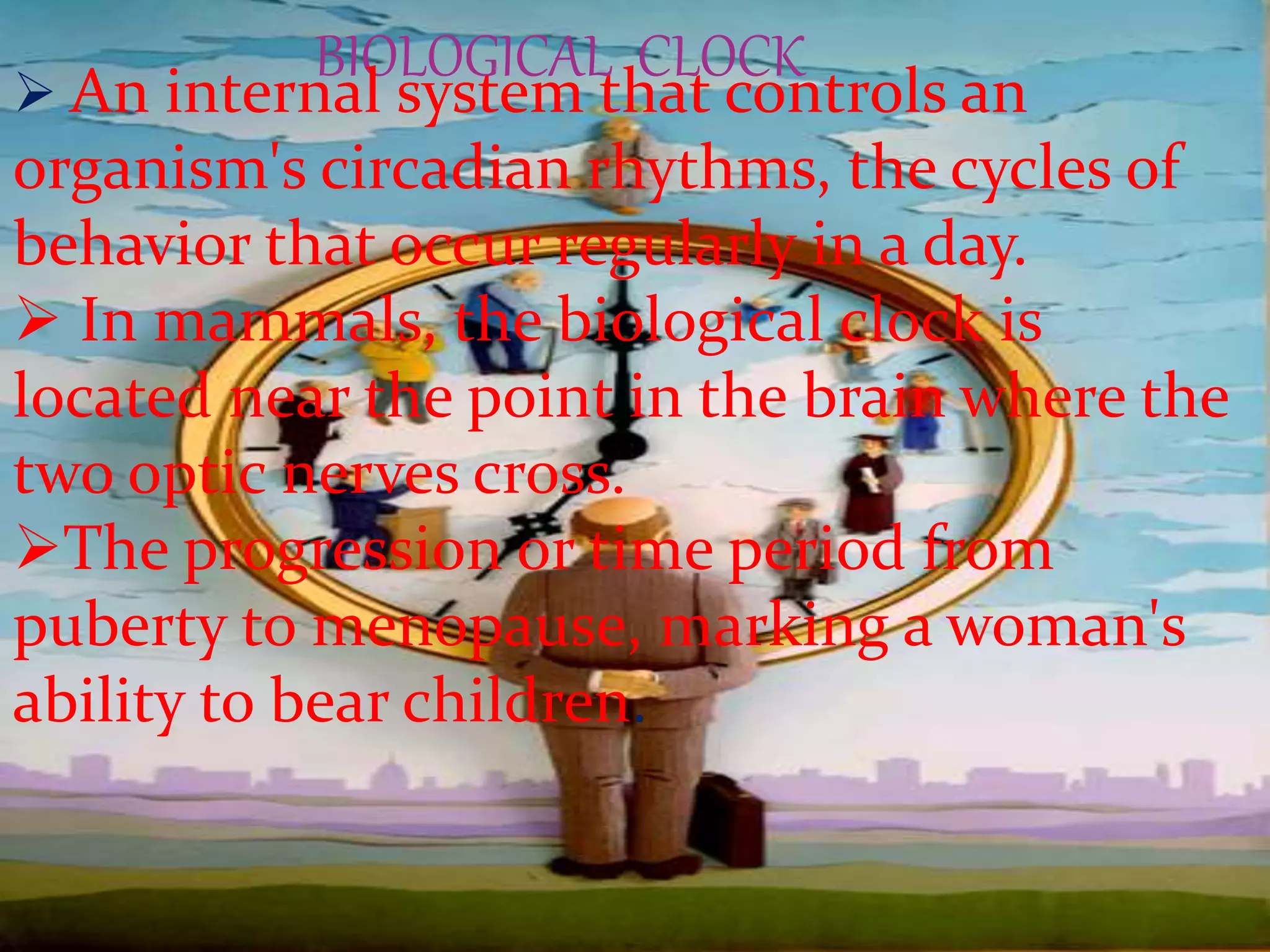 Biological clock PPT