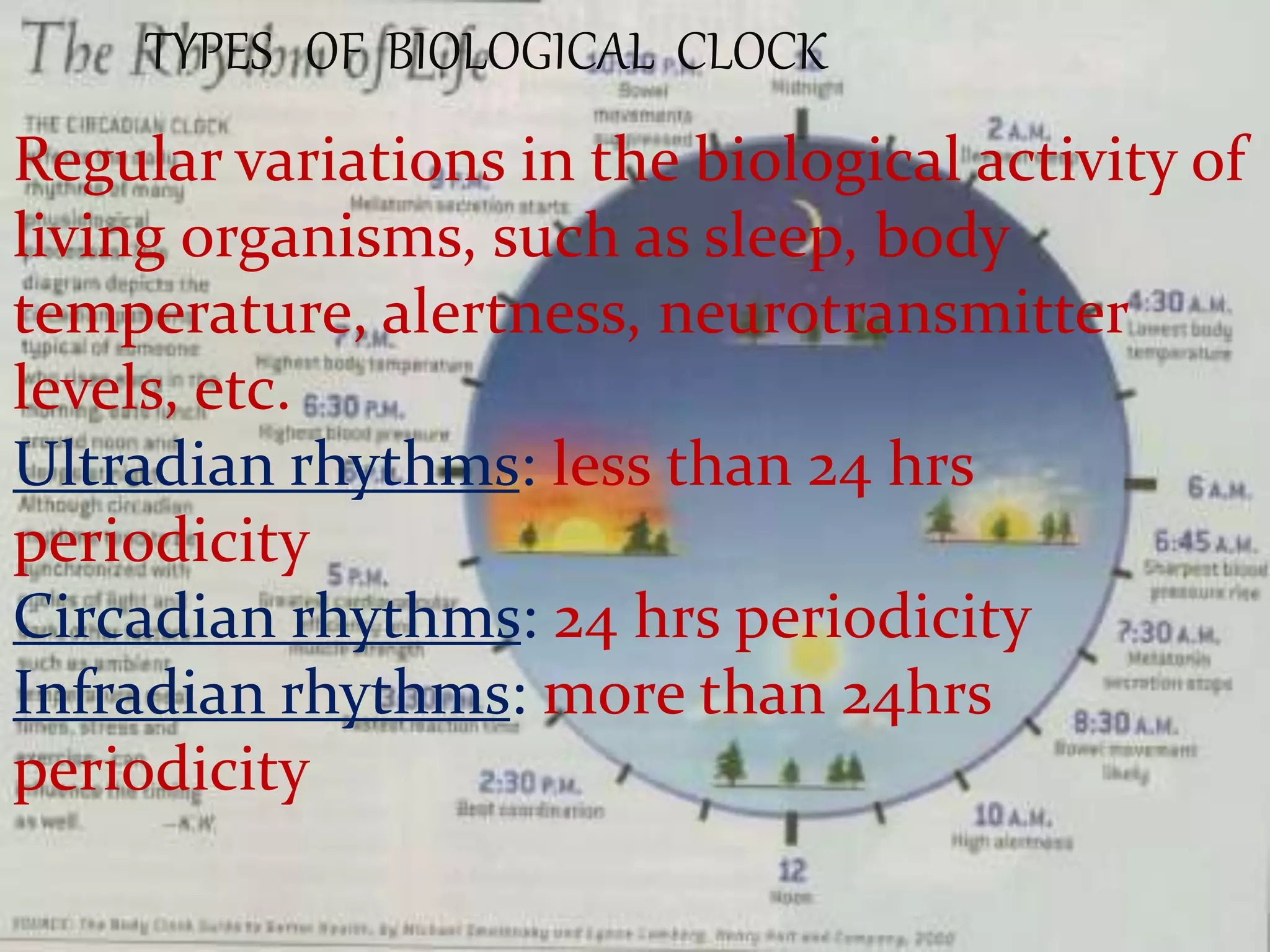 Biological clock PPT