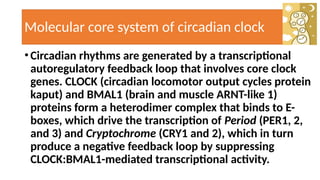 Biological Clock and Human Health.PPT Cairo Novotel [Autosaved].pptx