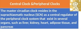 Biological Clock and Human Health.PPT Cairo Novotel [Autosaved].pptx
