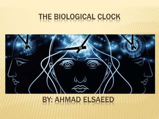 THE BIOLOGICAL CLOCK 
BY: AHMAD ELSAEED 
 