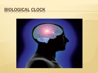 BIOLOGICAL CLOCK 
 