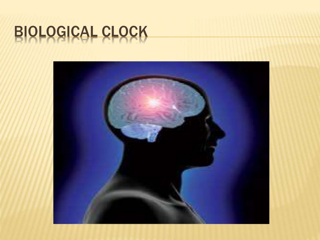 Biological clock