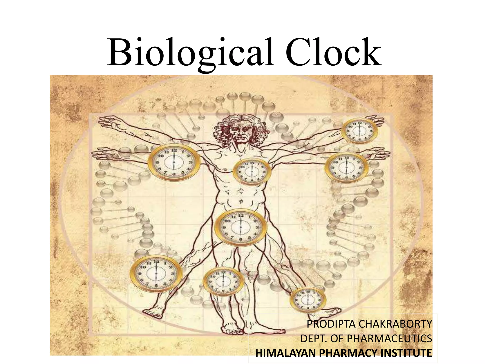 Biological clock PPT