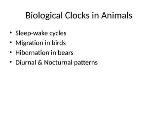 Understanding Biological Clocks: Circadian Rhythms in Animals and ...
