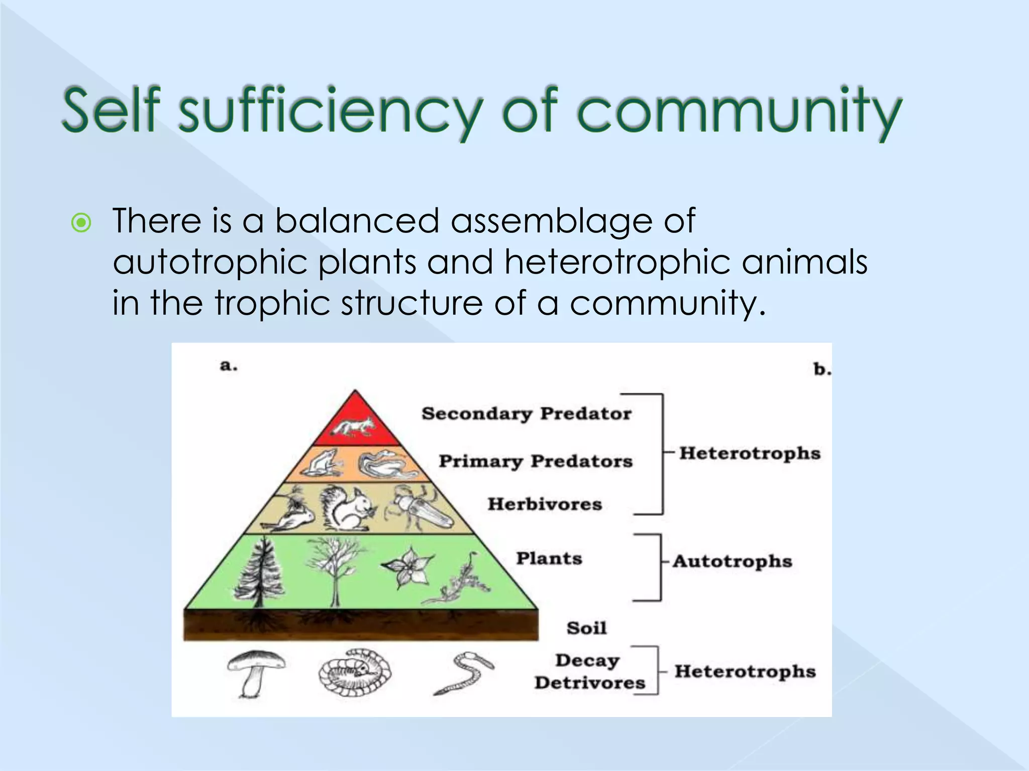 

There is a balanced assemblage of
autotrophic plants and heterotrophic animals
in the trophic structure of a community.

 