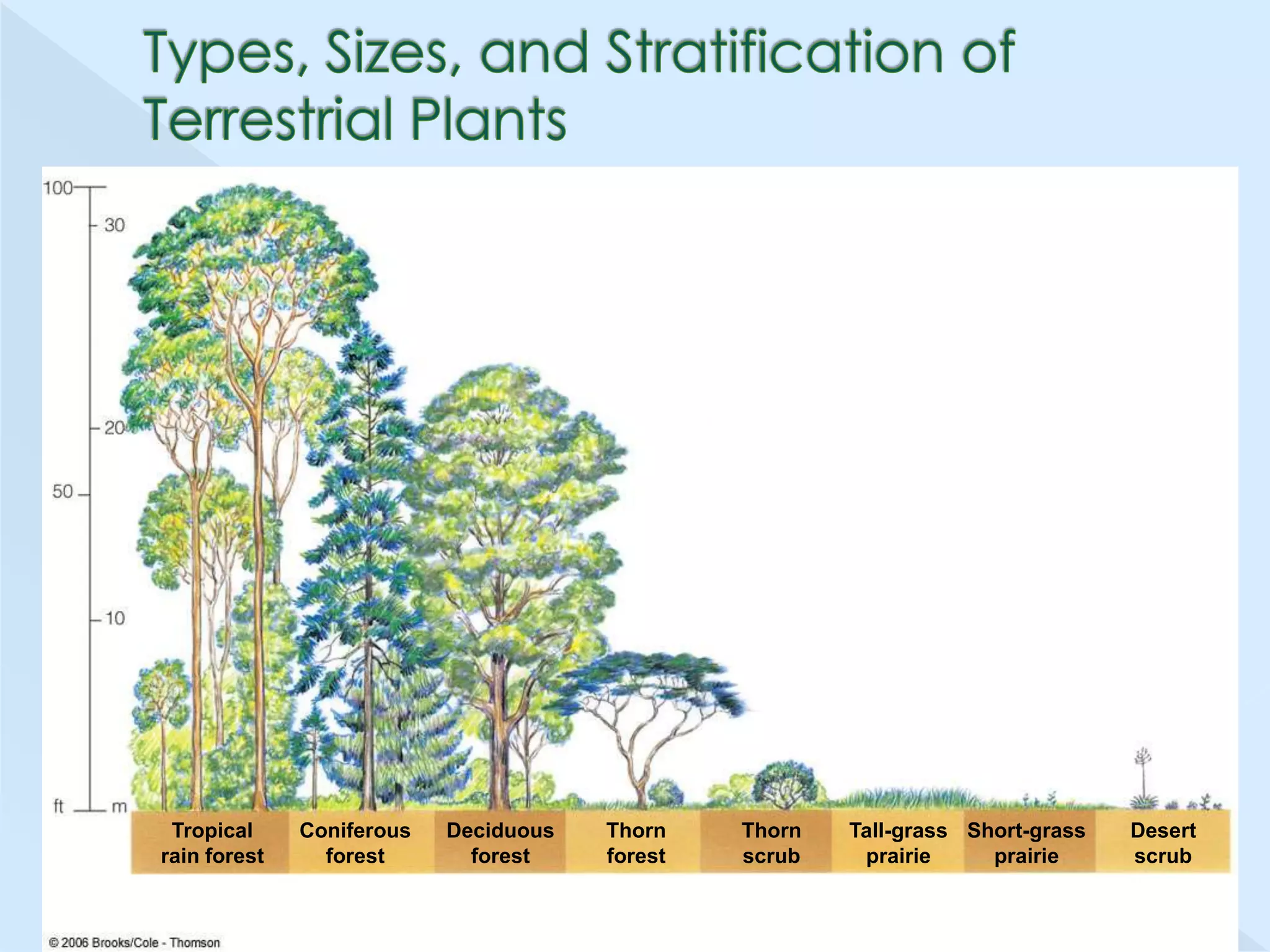 Tropical
rain forest

Coniferous
forest

Deciduous
forest

Thorn
forest

Thorn
scrub

Tall-grass Short-grass
prairie
prairie

Desert
scrub

 