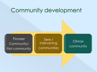 Pioneer
Community/

Sere /
intervening

First community

communities

Climax
community

 