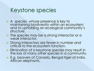 






A species whose presence is key to
maintaining biodiversity within an ecosystem
and to upholding an ecological community’s
structure.
The species may be a strong interactor or a
weak interactor.
Strong interactors are fewer in number and
critical to the ecosystem function.
Elimination of a keystone species may result in
the loss of many other species in a community.
E.g. beavers of Canada, Bengal tiger of India,
African elephants.

 