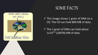 SOMEFACTS
. This image shows 1 gram of DNA on a
CD. The CD can hold 800 MB of data.
 The 1 gram of DNA can hold about
1x1014 (100TB) MB of data
 