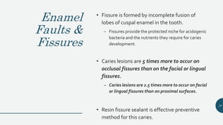 Enamel
Faults &
Fissures
• Fissure is formed by incomplete fusion of
lobes of cuspal enamel in the tooth.
– Fissures provide the protected niche for acidogenic
bacteria and the nutrients they require for caries
development.
• Caries lesions are 5 times more to occur on
occlusal fissures than on the facial or lingual
fissures.
– Caries lesions are 2.5 times more to occur on facial
or lingual fissures than on proximal surfaces.
• Resin fissure sealant is effective preventive
method for this caries.
19
 