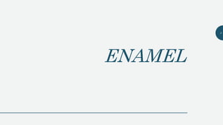 ENAMEL
3
 