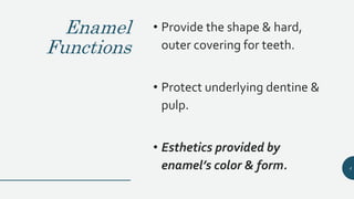 Enamel
Functions
• Provide the shape & hard,
outer covering for teeth.
• Protect underlying dentine &
pulp.
• Esthetics provided by
enamel’s color & form. 4
 