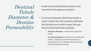 Dentinal
Tubule
Diameter &
Dentine
Permeability
• Small constricted diameter prevents the
movement of exogenous products
• Functional diameter of dentinal tubule is
much smaller than the anatomic diameter.
And bacteria are unable to pass through
this functional diameter of tubule.
• Anatomic diameter; overall lumen of dentinal
tubule.
• Functional diameter; dentinal tubule is filled with
cellular, collagenous and mineral particles, so
empty space which is left after these materials is
functional diameter of tubule.
41
 