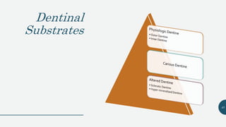 Dentinal
Substrates
45
 