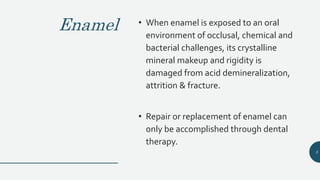 Enamel • When enamel is exposed to an oral
environment of occlusal, chemical and
bacterial challenges, its crystalline
mineral makeup and rigidity is
damaged from acid demineralization,
attrition & fracture.
• Repair or replacement of enamel can
only be accomplished through dental
therapy.
5
 