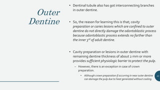 Outer
Dentine
• Dentinal tubule also has got interconnecting branches
in outer dentine.
• So, the reason for learning this is that; cavity
preparation or caries lesions which are confined to outer
dentine do not directly damage the odontoblastic process
because odontoblastic process extends no farther than
the inner 3rd of adult dentine.
• Cavity preparation or lesions in outer dentine with
remaining dentine thickness of about 2 mm or more
provides sufficient physiologic barrier to protect the pulp.
– However, there is an exception in case of crown
preparation.
• Although crown preparation if occurring in near outer dentine
can damage the pulp due to heat generated without cooling.
50
 